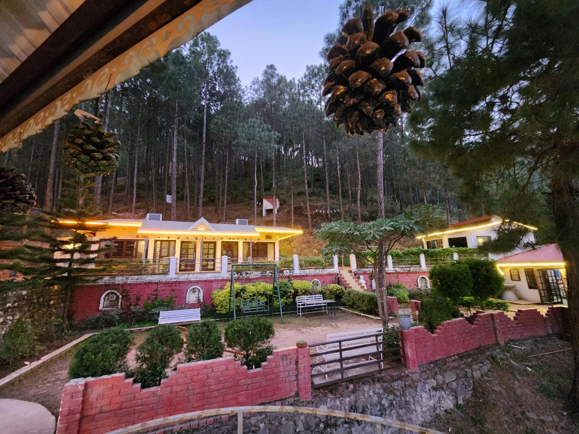 Pine Valley Resort Kasauli Dış mekan fotoğraf