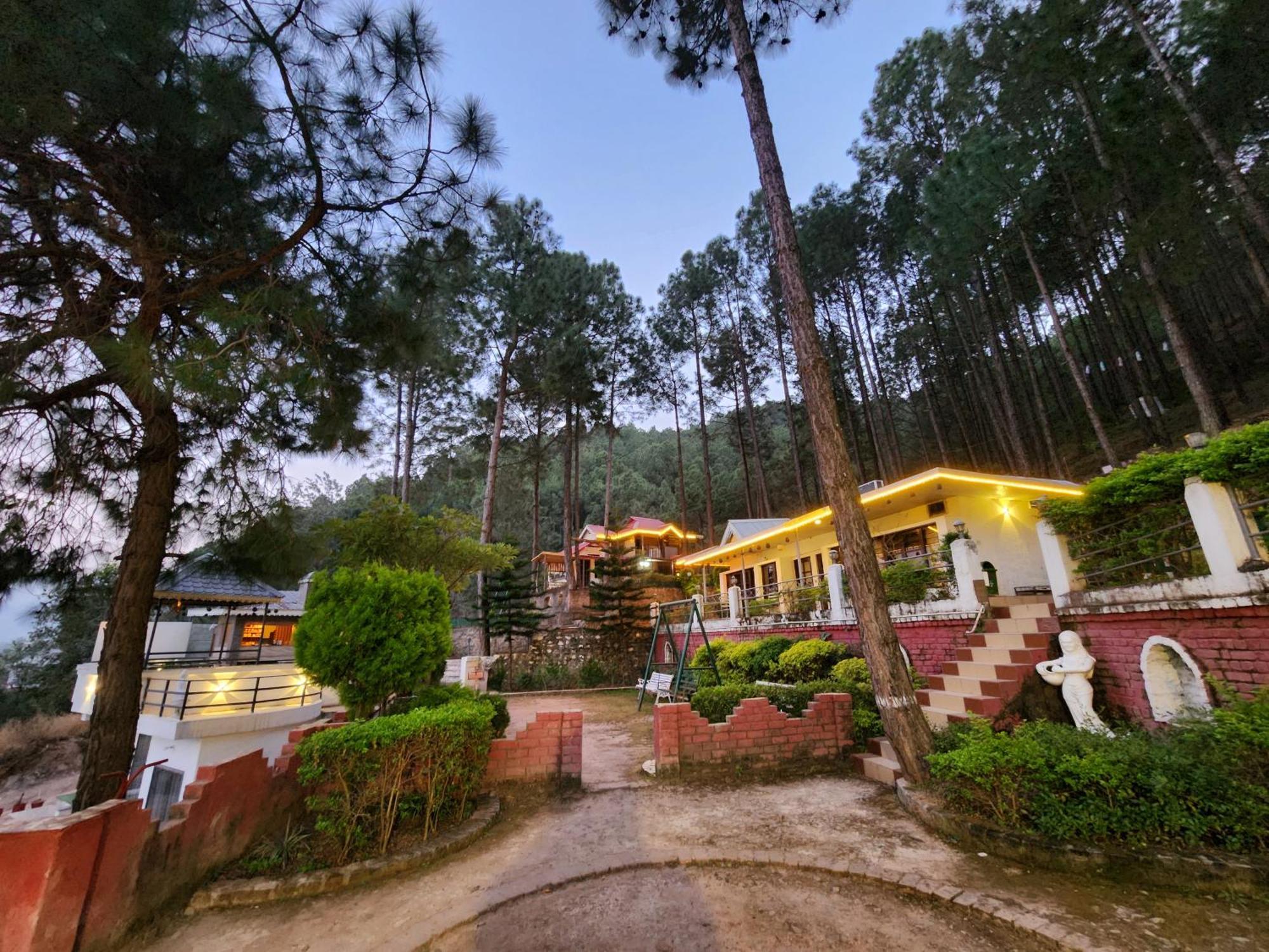 Pine Valley Resort Kasauli Dış mekan fotoğraf