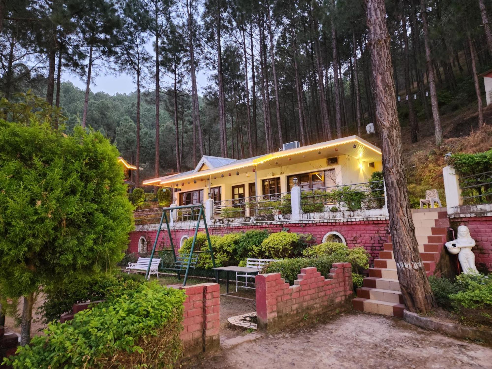 Pine Valley Resort Kasauli Dış mekan fotoğraf