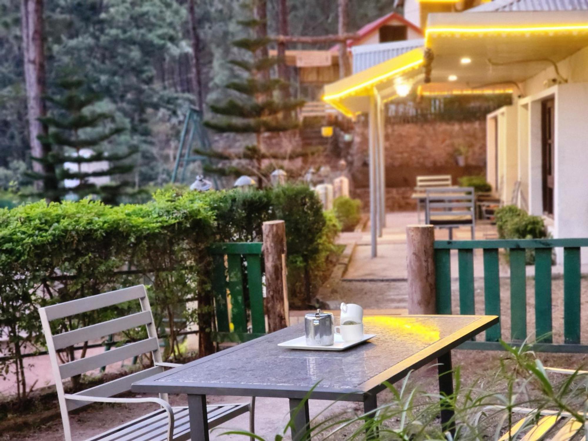 Pine Valley Resort Kasauli Dış mekan fotoğraf