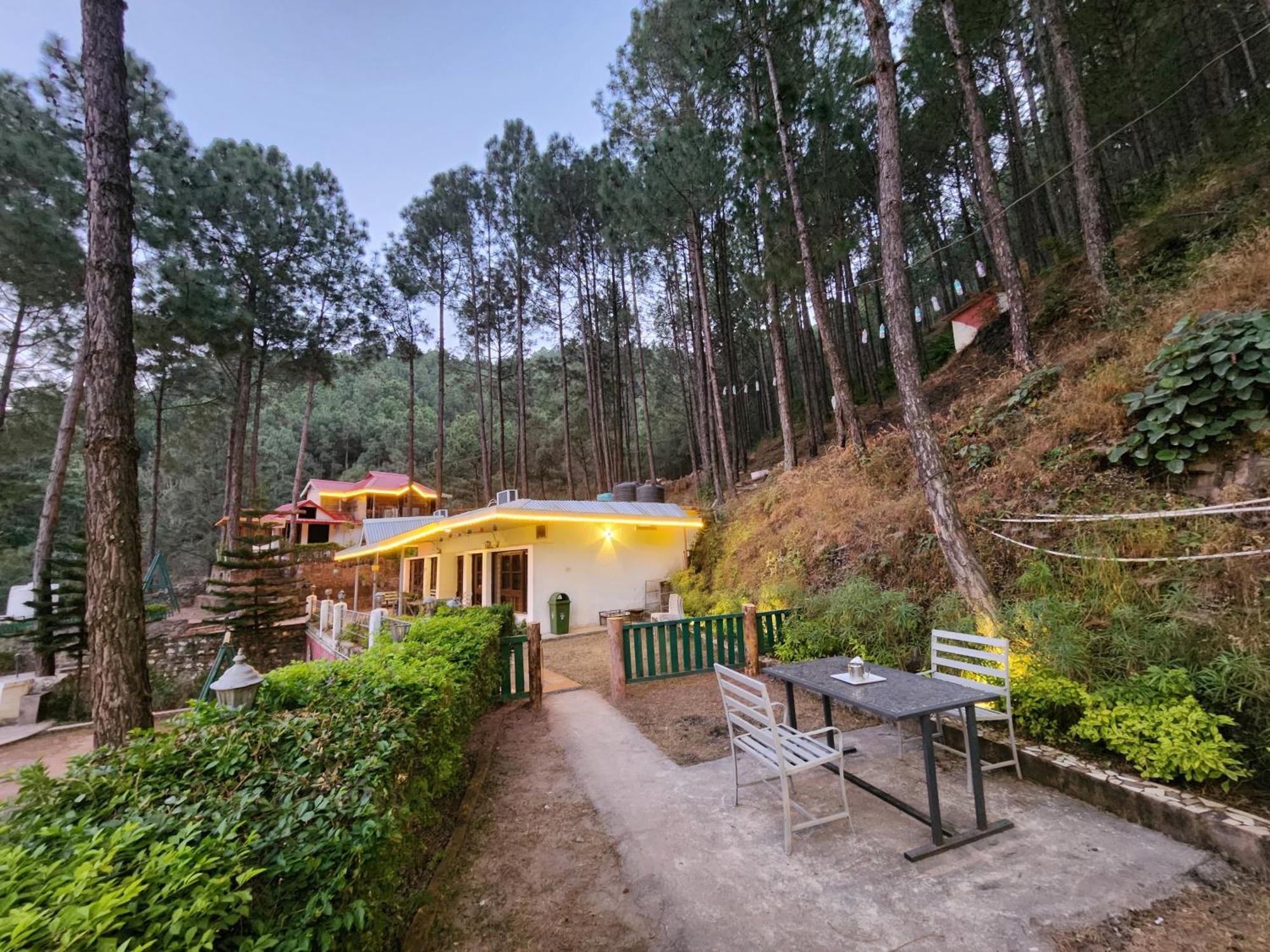 Pine Valley Resort Kasauli Dış mekan fotoğraf