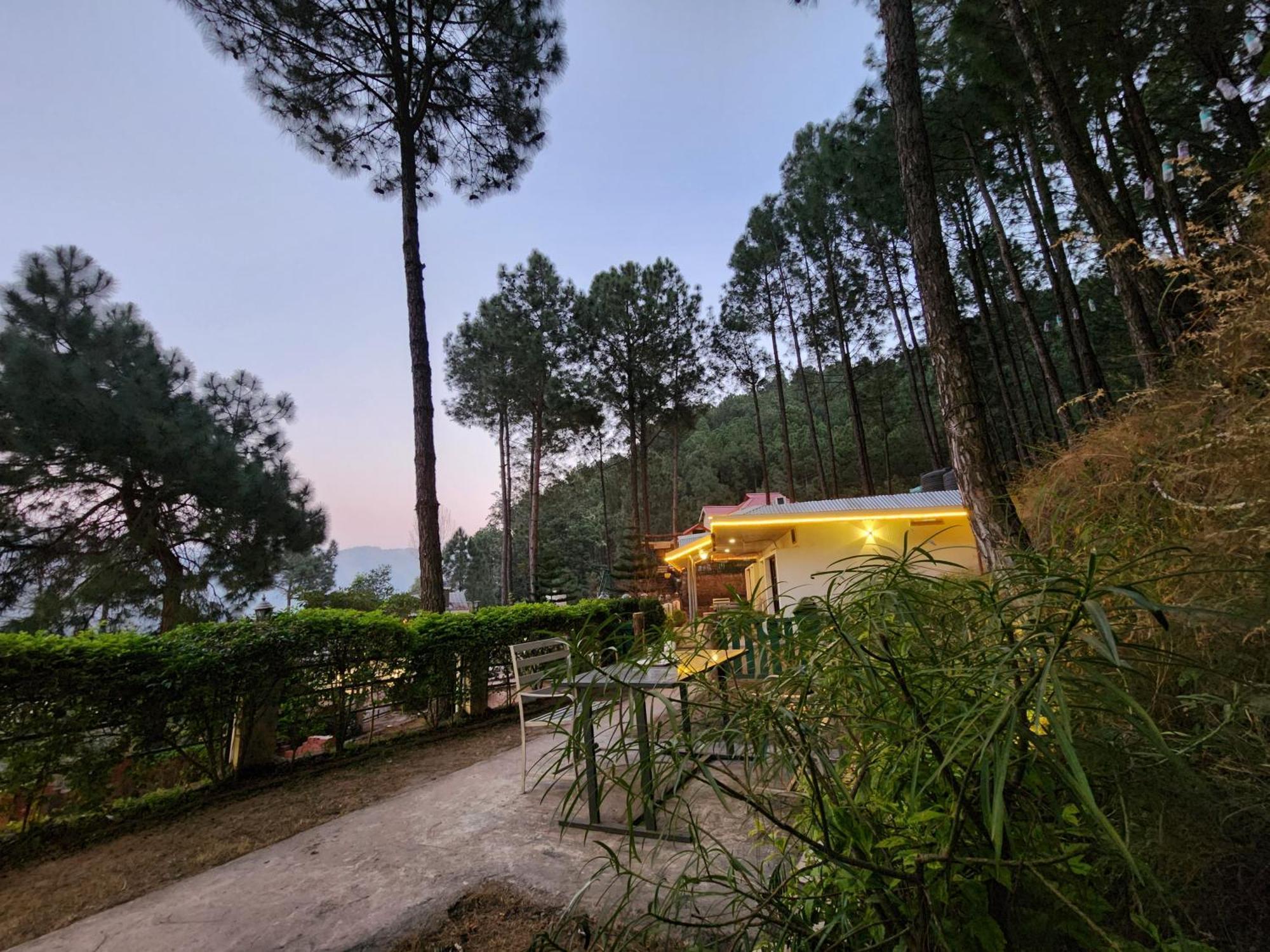 Pine Valley Resort Kasauli Dış mekan fotoğraf