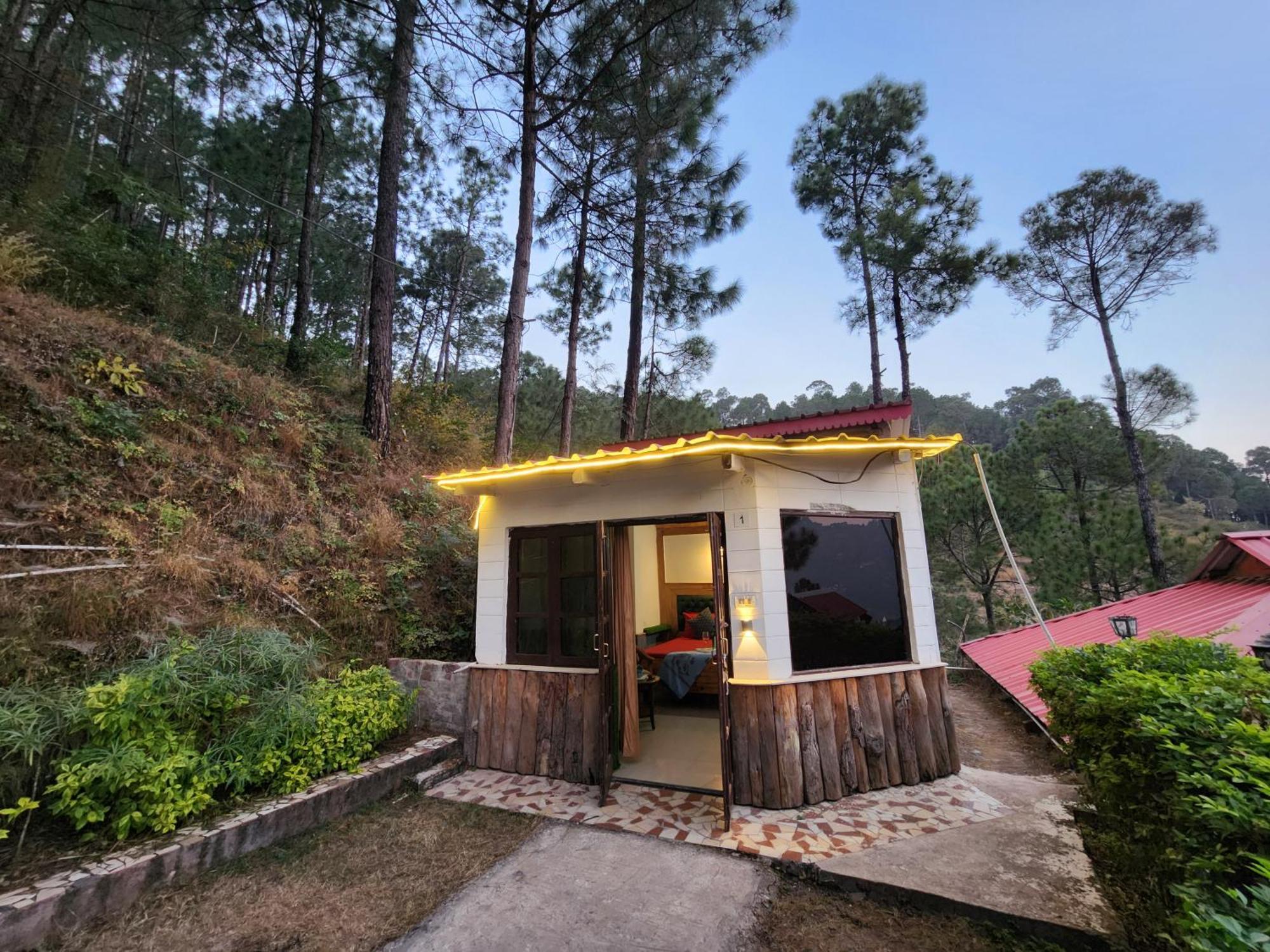 Pine Valley Resort Kasauli Dış mekan fotoğraf