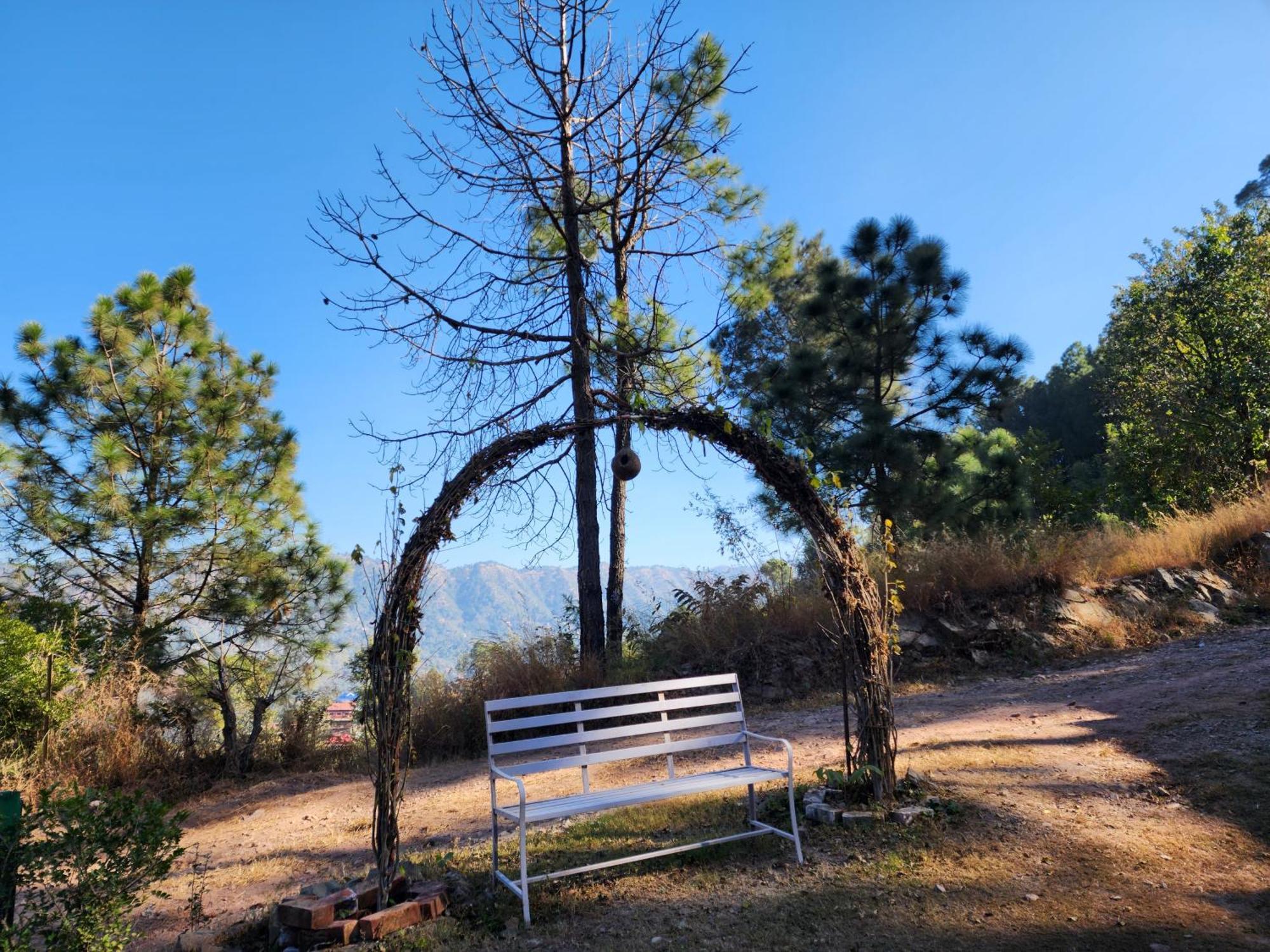 Pine Valley Resort Kasauli Dış mekan fotoğraf