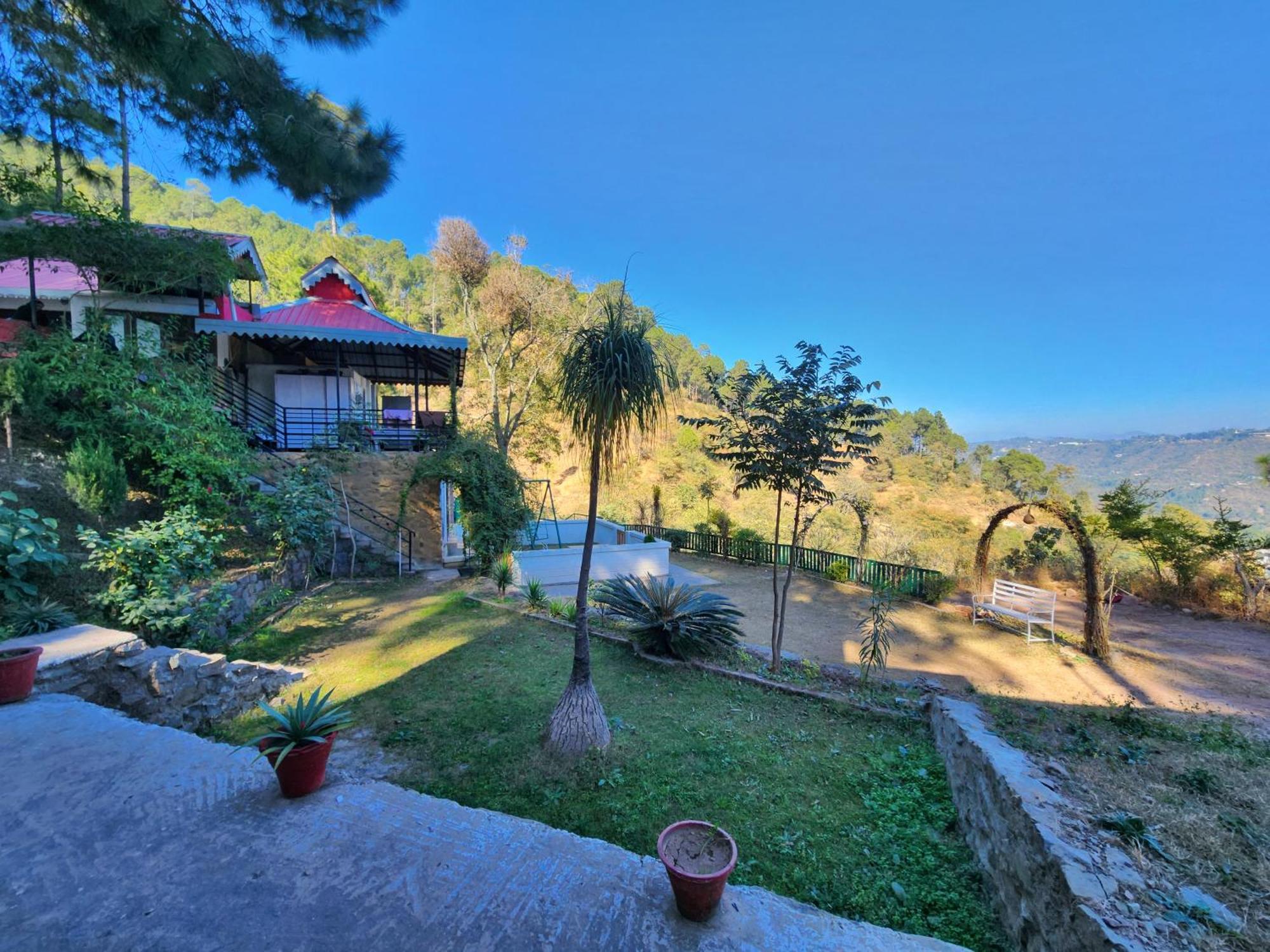 Pine Valley Resort Kasauli Dış mekan fotoğraf